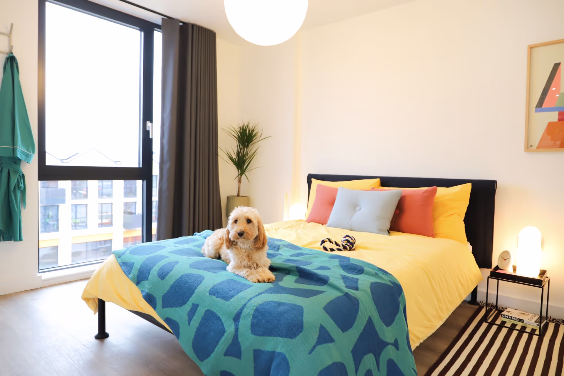 Farnworth Green Pet Friendly apartment